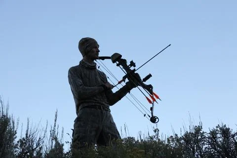 Bow hunter at dusk Stock Photos