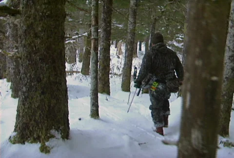 Bow hunting 03 Stock Footage 645577