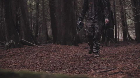 Bow hunting in the fall. Vídeo Stock 62959700