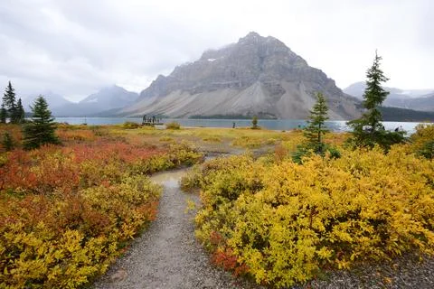 Bow lake Stock Photos