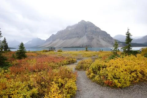 Bow lake Stock Photos