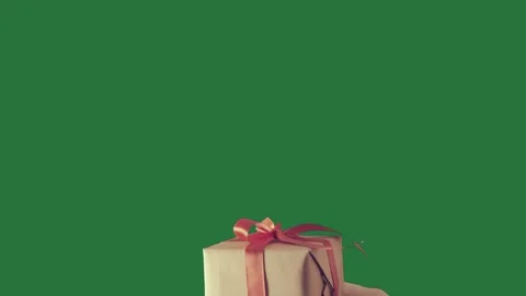 Bow Looping - Royalty Free Clip Stock Footage 338017587
