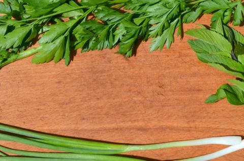 Bow. mint. parsley Stock Photos