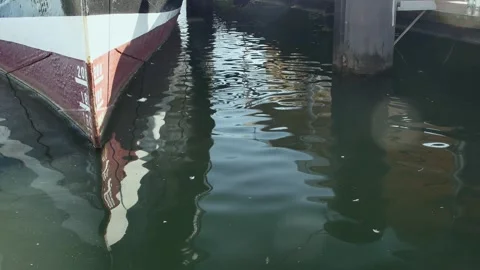 The bow of a moored large ship with a painted waterline 库存影片 259506946