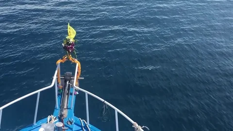 Bow of moving boat over the ocean Video stock 83107392
