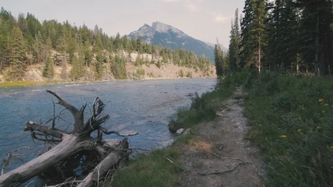 Bow River in Banff, Canada - Steadicam shot Stock Footage 88282485