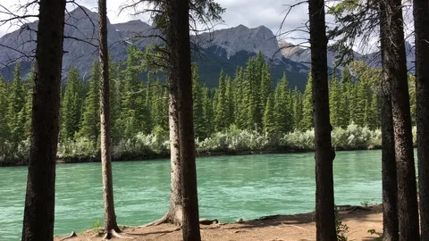Bow River Passing through Treeline in Canmore Stock Footage 123169825