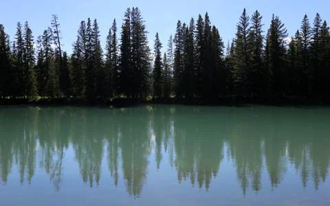 Bow river tree-line Stock Photos