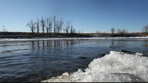 Bow river winter 1 库存影片 10721062