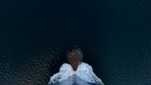 Bow of a ship in Antarctica Stock Footage 88356910