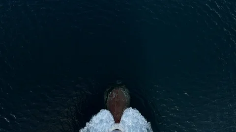 Bow of a ship in Antarctica Stock Footage 88358337