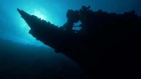 Bow of the shipwreck Carnatic underwater, Red Sea, Egypt Stock Footage 88398335