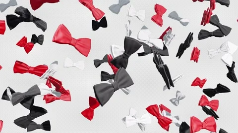 Bow Tie Fall Stock Footage 311054232
