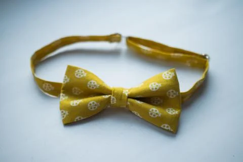 The bow tie, a gift for him Stock Photos