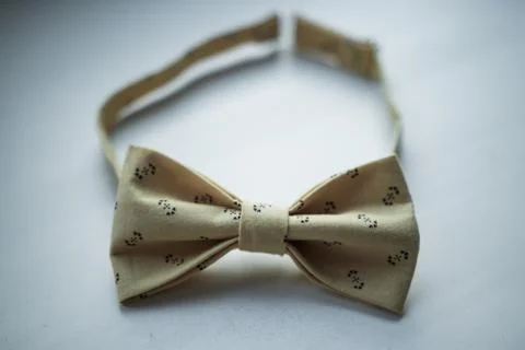 The bow tie, a gift for him Stock Photos