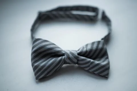 The bow tie, a gift for him Stock Photos