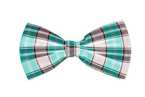 Bow tie on a white background Stock Photos