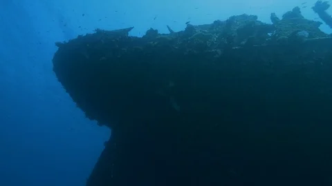Bow from top to bottom of the shipwreck Kingston, Red sea, Egypt Stock Footage 105508592