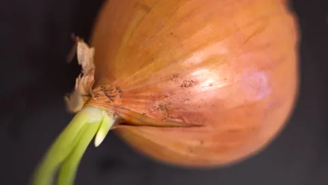 Bow top view 4K Stock Footage 156531048