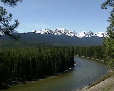 Bow valley and river in Banff National Park, UNESCO World Heritage Stock Footage 35066231