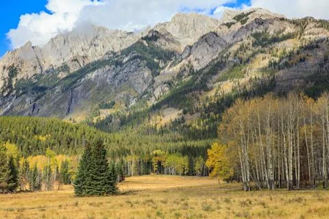 Bow Valley Parkway Stock Photos
