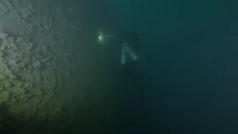 Bow wrapped by the net diver swims next hull of wreck Adernò with rainbow wrasse Stock Footage 228110488