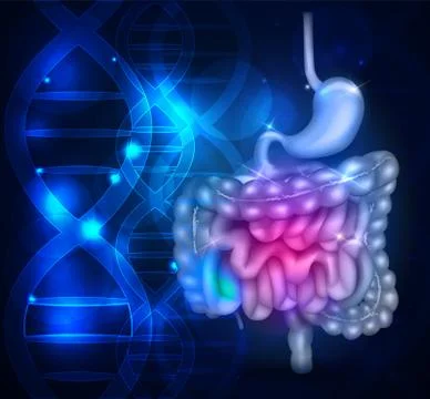 Bowels and stomach abstract scientific background Stock Illustration