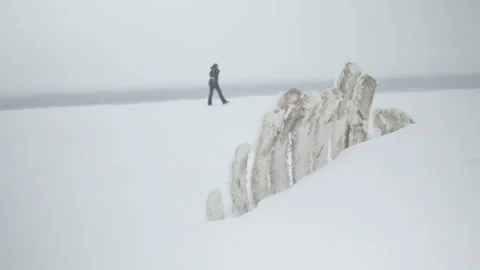 Bowhead Whale bones remains half buried in the snow near Utqiagvik at Stock Footage 252127370