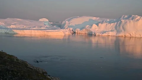 Bowhead whale emerging to the surface and blowing water vapor Stock Footage 147539113