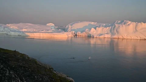 Bowhead whale emerging to the surface and blowing water vapor Stock Footage 147539175