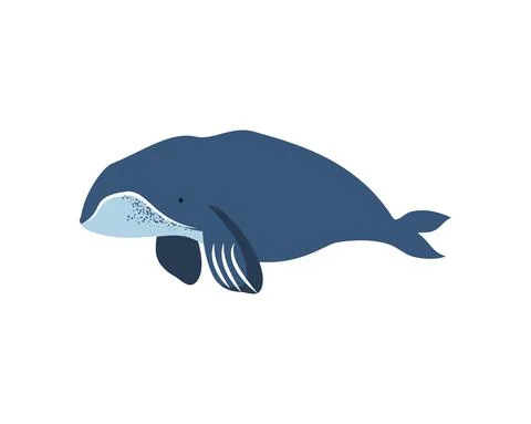 Bowhead whale icon Stock Illustration