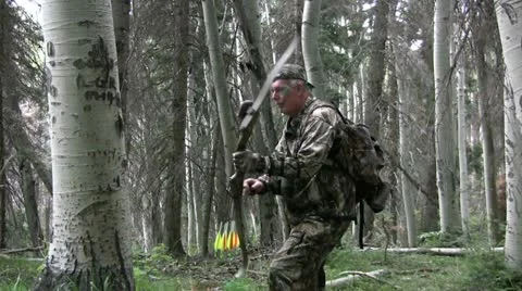 Bowhunter Vídeos de archivo 20567608