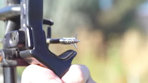Bowhunter shooting arrow with broadhead Stock Footage 171996606