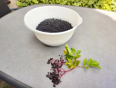 Bowl with black elderberries on a table Stock Photos