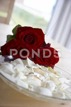 Bowl decoration decorative leaf love red romance Stock Photos