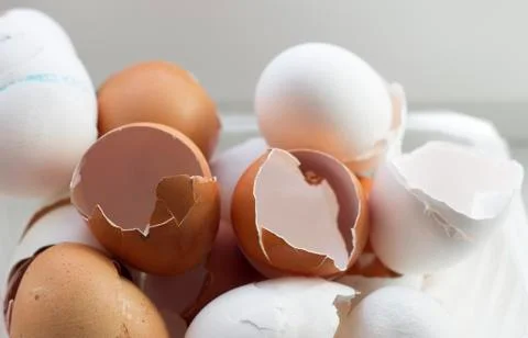 Bowl of Egg shells different colors Stock Photos