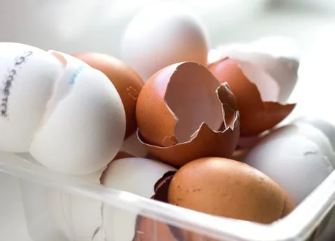 Bowl of Egg shells different colors Stock Photos