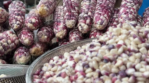 Bowl filled with kernels of multicolored Red Queen corn placed on a market Vidéo 334116231