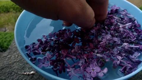 A bowl with flowers. Stock Footage 241562948