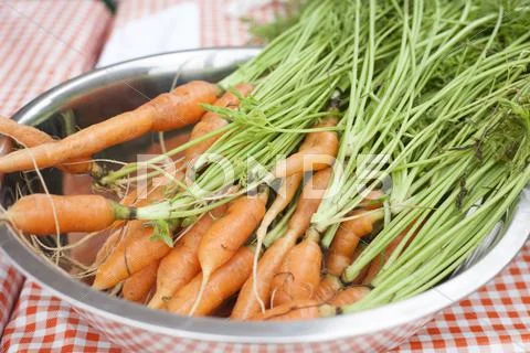 Bowl Of Fresh Carrots
