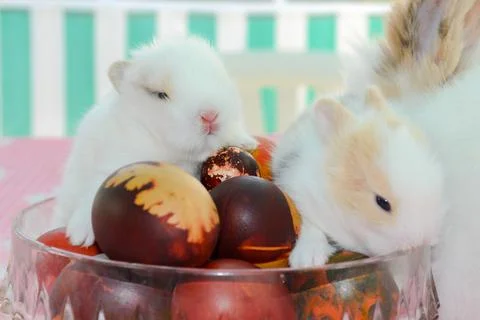 Bowl full of Easter eggs and bunnies Stock Photos