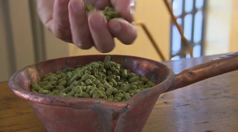 Bowl of hops with hand Stock Footage 57109594