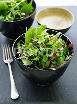 Bowl Of Mixed Greens Salad