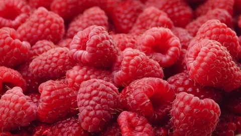 Bowl Of Raspberries Rotating Closeup Stock Footage