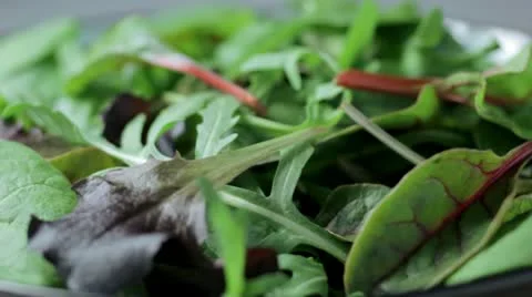Bowl of salad leaves Stock Footage