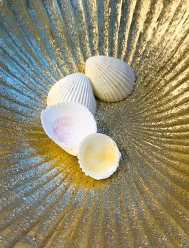 A bowl of shells with one shell missing Stockfoto's