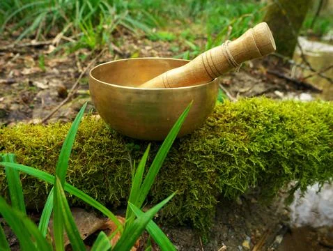 Bowl singing on a tree trunk with moss Stock Photos