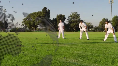 Bowler stepping forward, players shifting into ready stances and tracking Stock-Footage 333154881