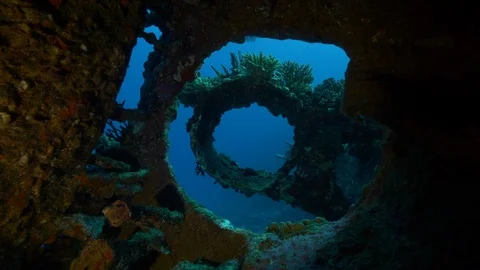 Bowsprit hall from inside the hull of the shipwreck Carnatic, Red Sea, Egypt Stock-Footage 88379715