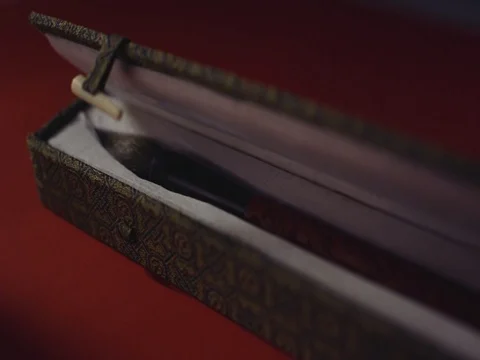 Box and painbrush for a calligraphy close-up macro Stock Footage